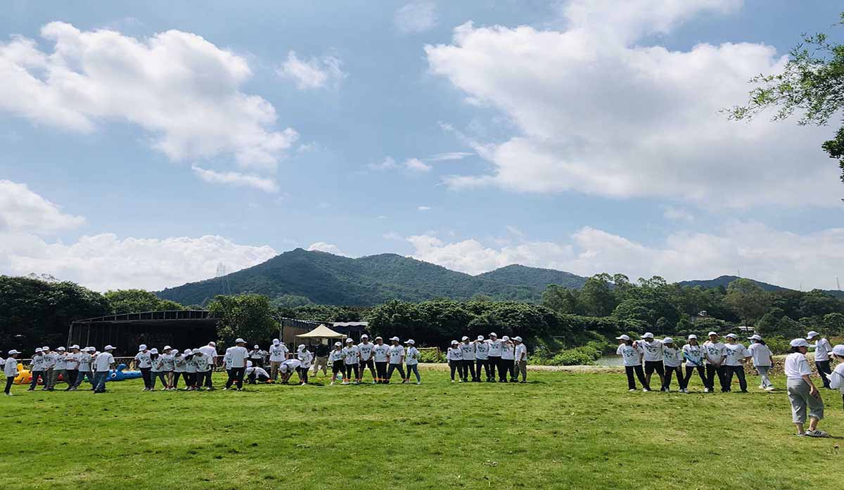 产业概况图